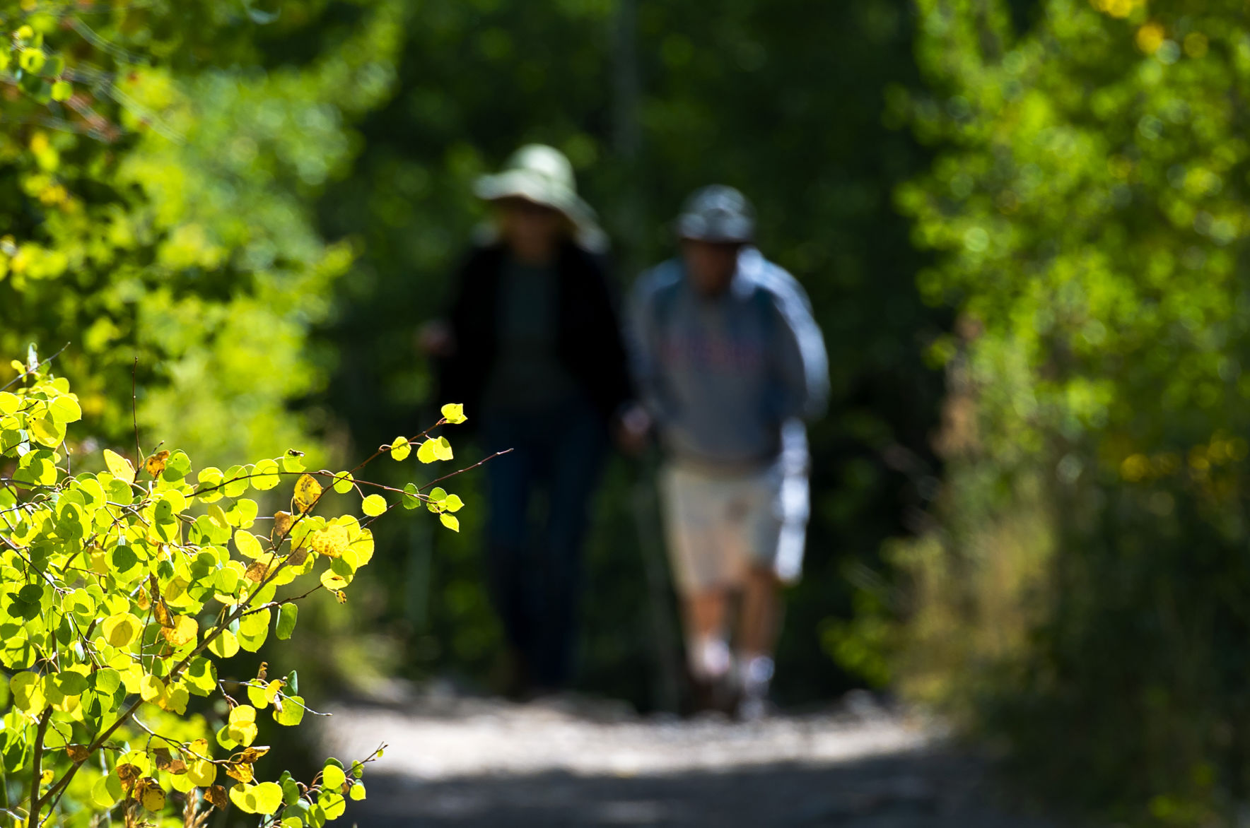 09_17_19 aspens 0379.jpg
